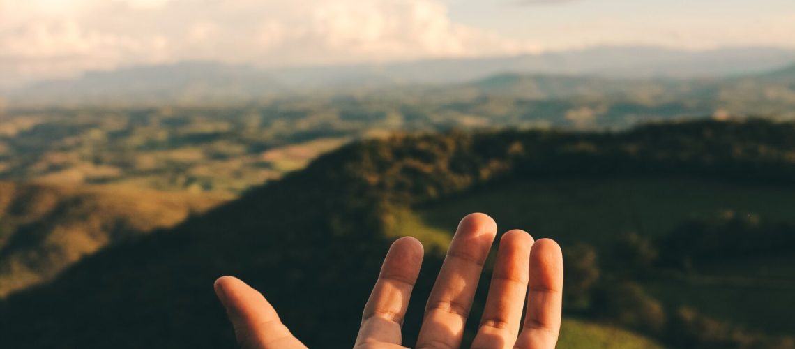 pexels-victor-freitas-772662